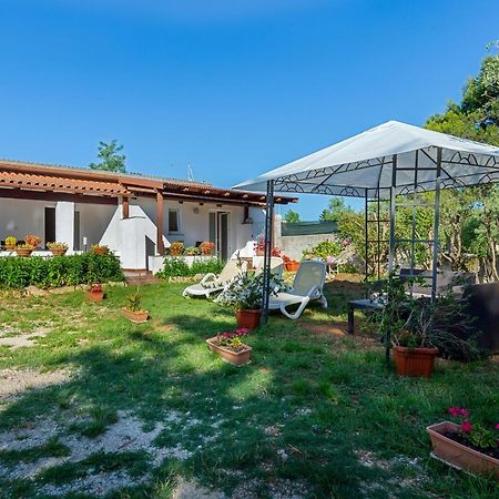 Apartments Elita Ρόβινι Εξωτερικό φωτογραφία